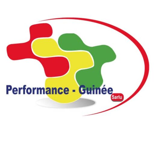 Cabinet performance guinée